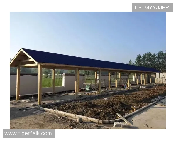 防腐木材的优势与应用探索：提升户外建筑耐久性与美观性